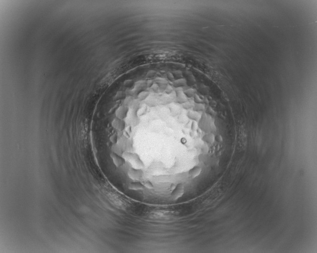 X0000077990657200611101729