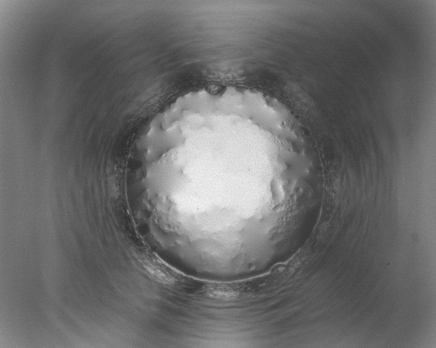 X0000077990658200611101729