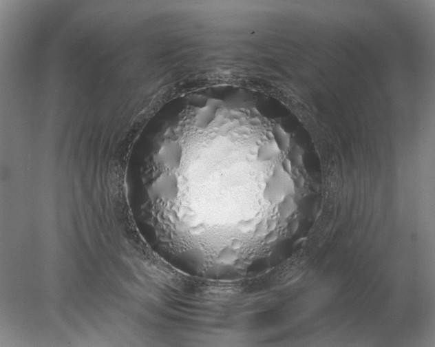 X0000077990659200611101729