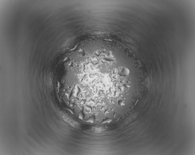 X0000077990662200611101730