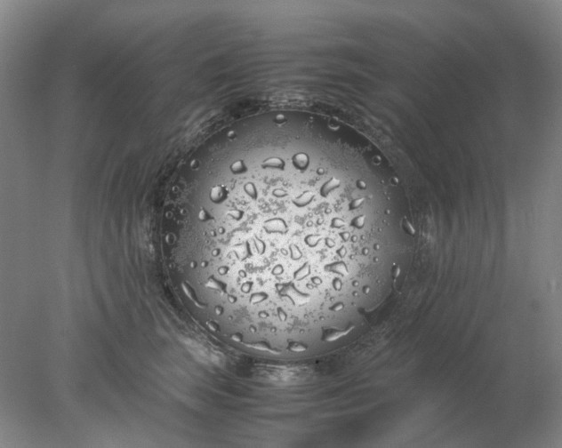 X0000077990663200611101730