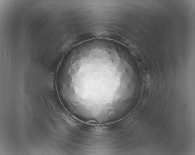 X0000077990664200611101730