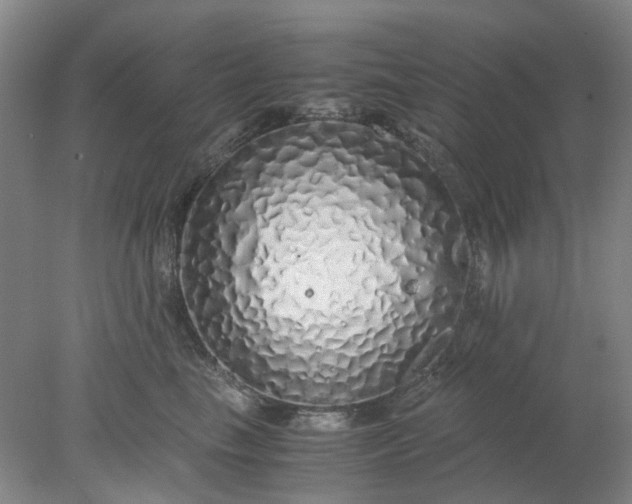 X0000077990665200611101730