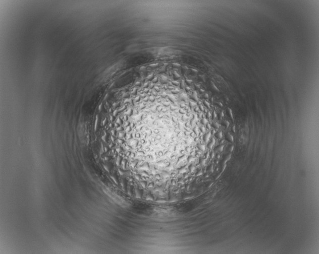 X0000077990666200611101730