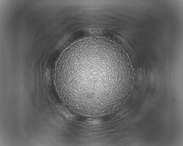 X0000077990667200611101730