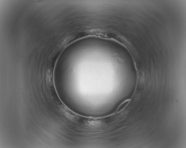 X0000077990669200611101730