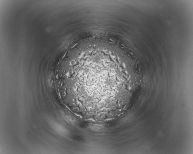 X0000077990671200611101730