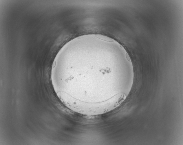 X0000077990672200611101730