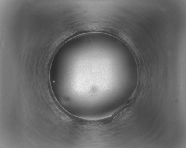 X0000077990673200611101729