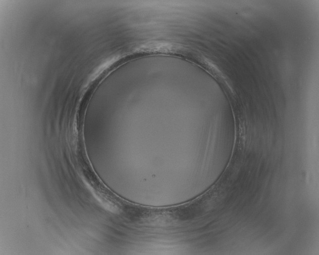 X0000077990674200611101729