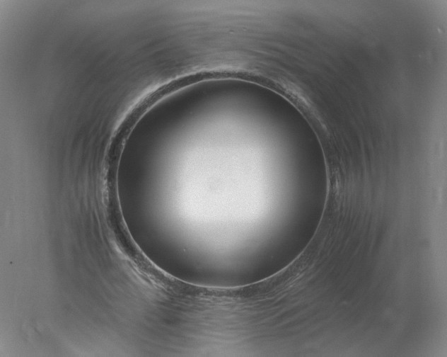 X0000077990676200611101729