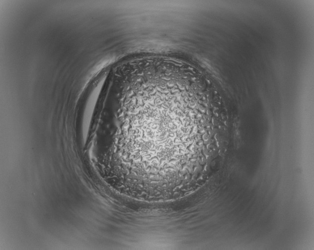 X0000077990679200611101729