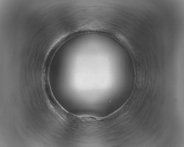 X0000077990680200611101729