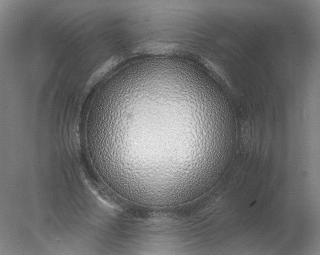 X0000077990682200611101729