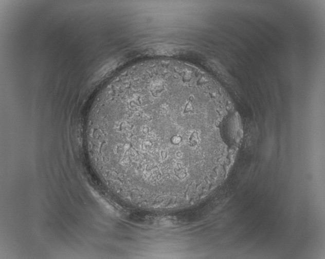 X0000077990683200611101729