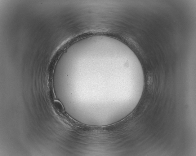 X0000077990684200611101729