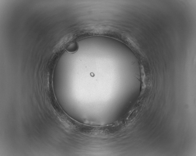 X0000077990685200611101729