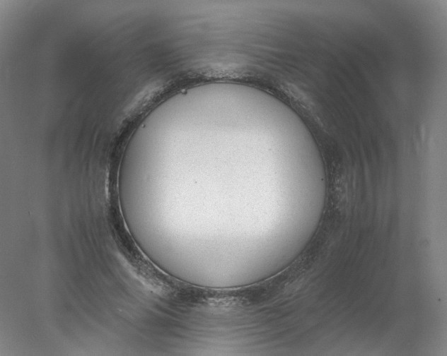 X0000077990686200611101729