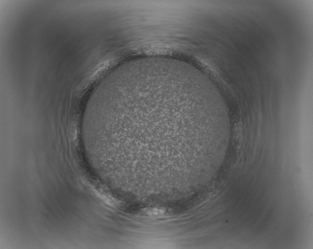 X0000077990687200611101729