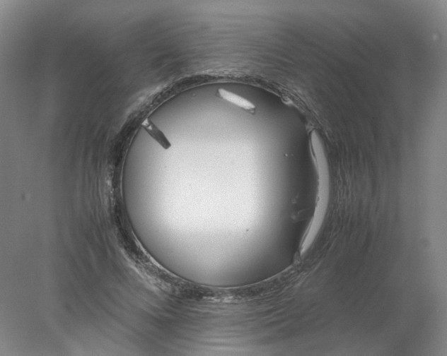 X0000077990688200611101729