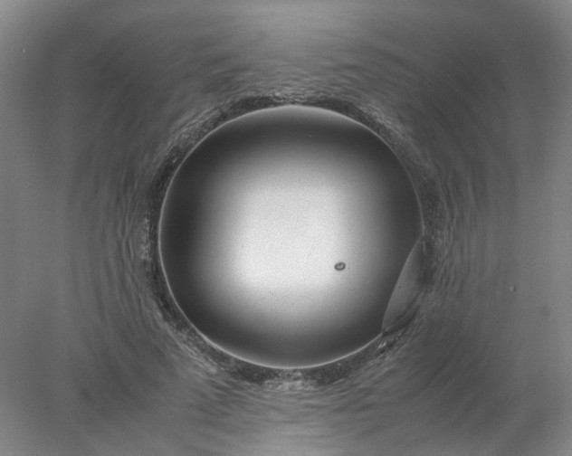 X0000077990689200611101729