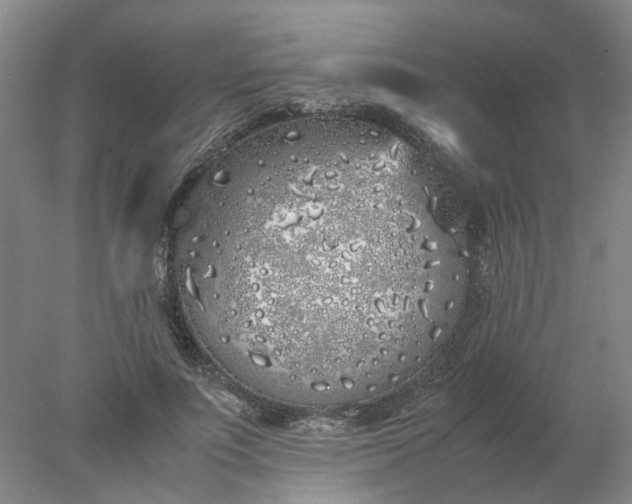 X0000077990691200611101729