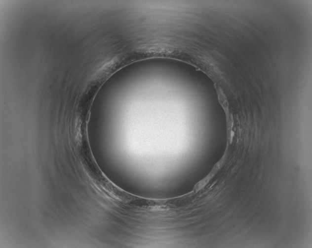 X0000077990692200611101729