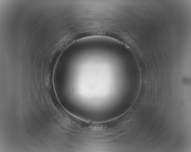 X0000077990693200611101729