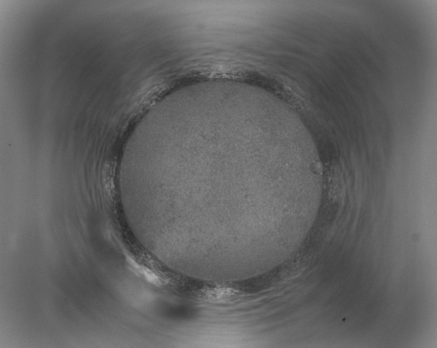 X0000077990695200611101728