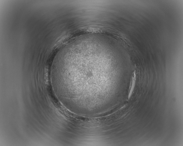 X0000077990696200611101728