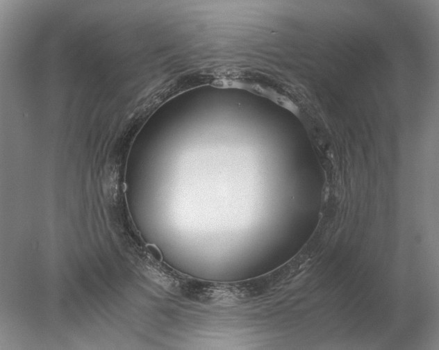 X0000077990697200611101728