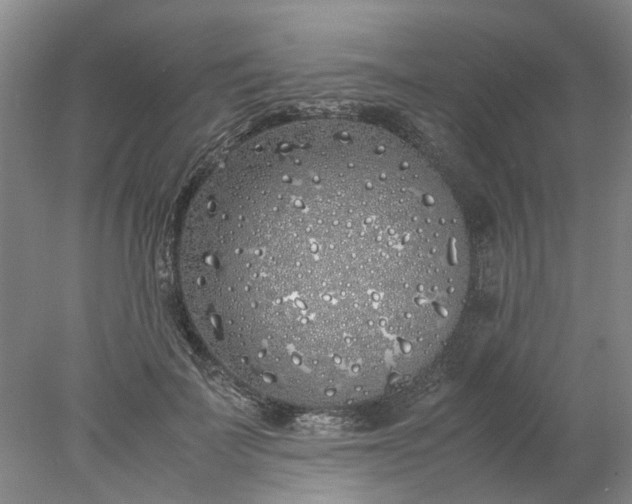 X0000077990699200611101728