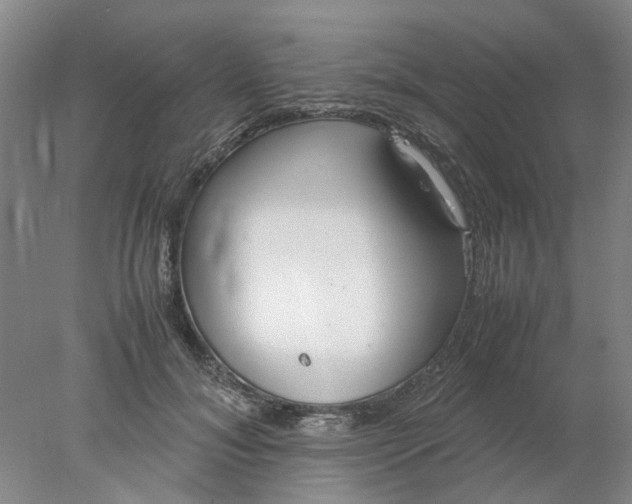 X0000077990700200611101728