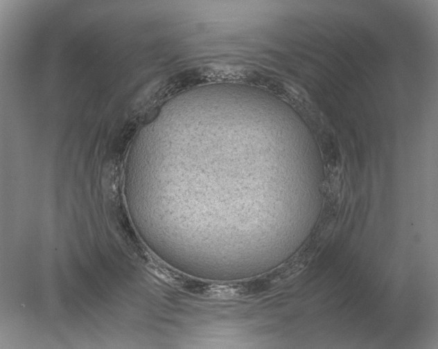 X0000077990701200611101728