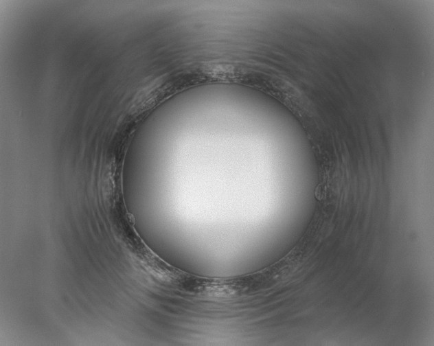 X0000077990702200611101728