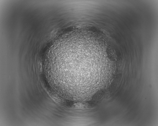 X0000077990703200611101728