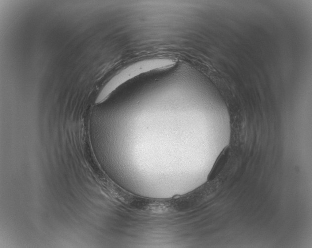 X0000077990704200611101728