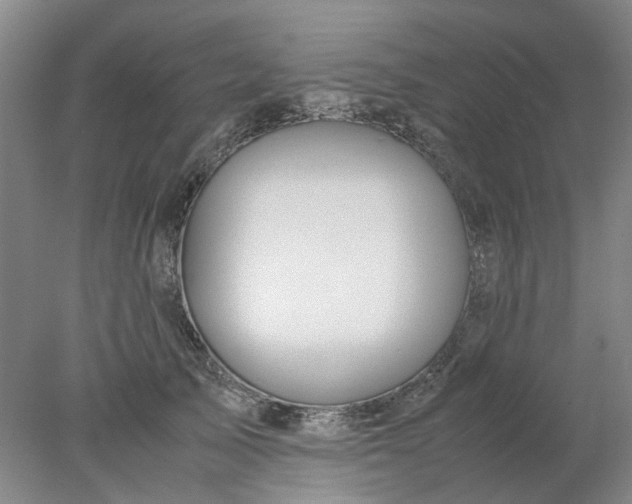 X0000077990705200611101728