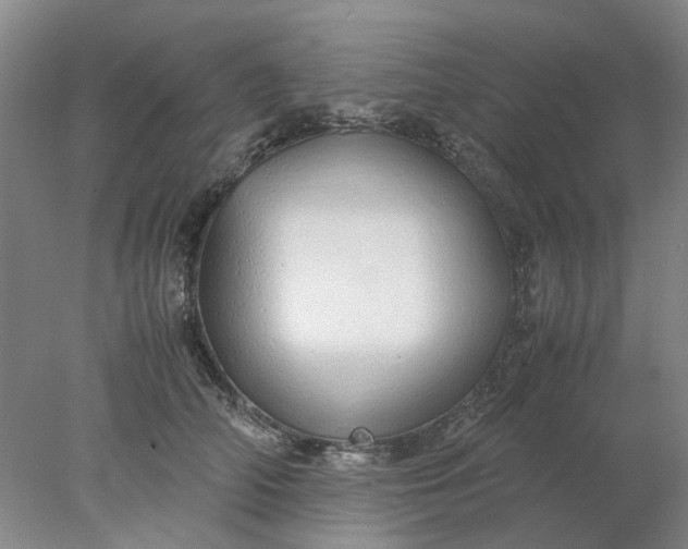 X0000077990706200611101728