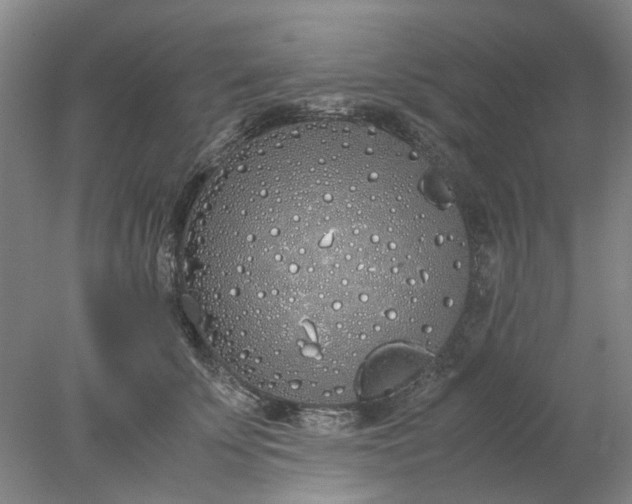 X0000077990707200611101728