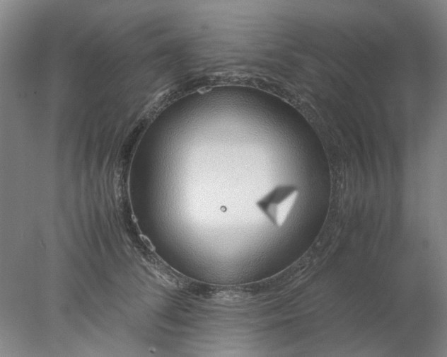 X0000077990708200611101728