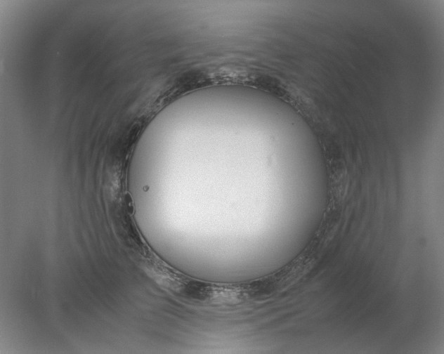 X0000077990709200611101728