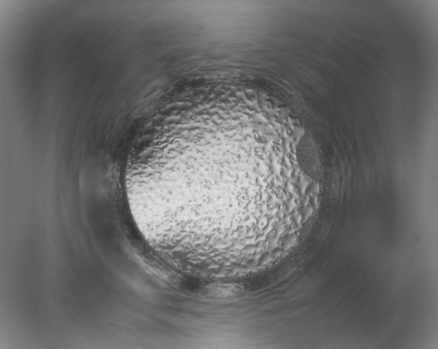 X0000077990711200611101728