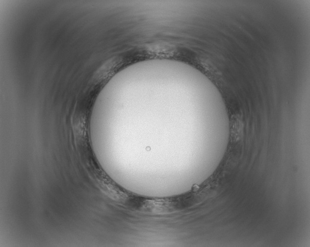 X0000077990713200611101728