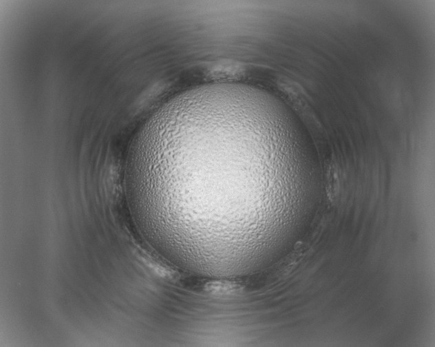 X0000077990714200611101728