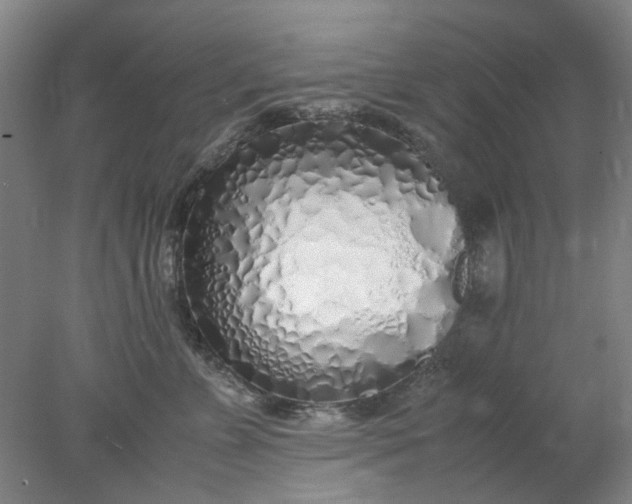 X0000077990715200611101728