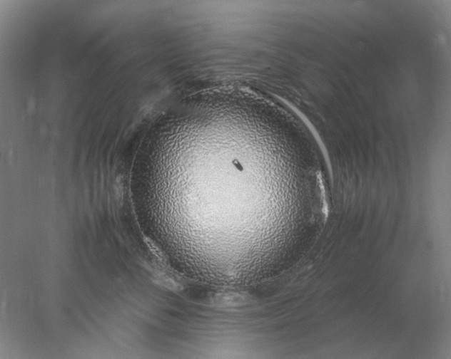 X0000077990716200611101728