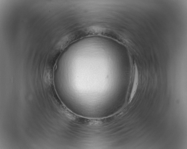 X0000077990718200611101728