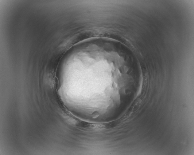 X0000077990719200611101728