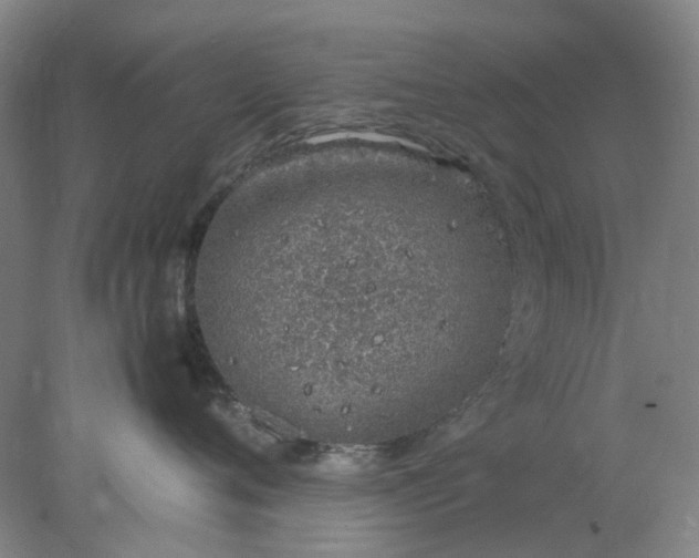 X0000077990720200611101728